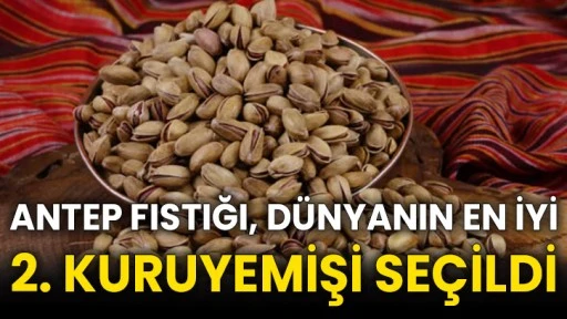 Antep fıstığı, dünyanın en iyi 2. kuruyemişi seçildi