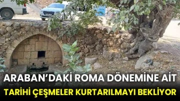 Araban’daki Roma dönemine ait tarihi çeşmeler kurtarılmayı bekliyor