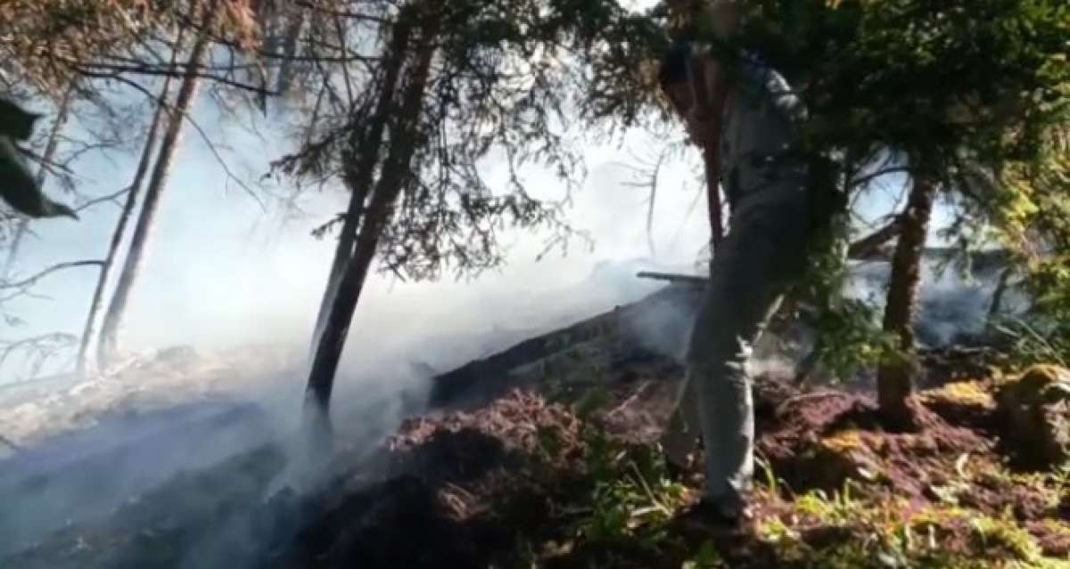 Artvin'de korkutan orman yangını