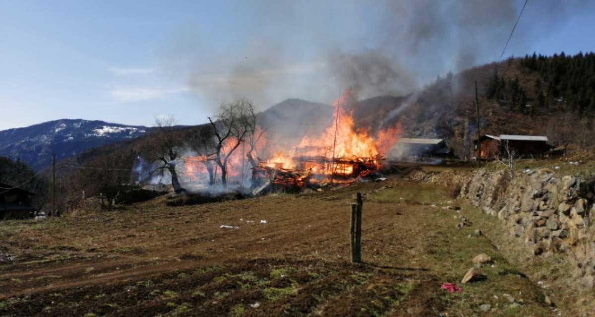 Artvin'de korkutan yangın