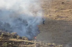 Bitlis’teki örtü yangını ormanlık alana sıçramadan kontrol altına alındı