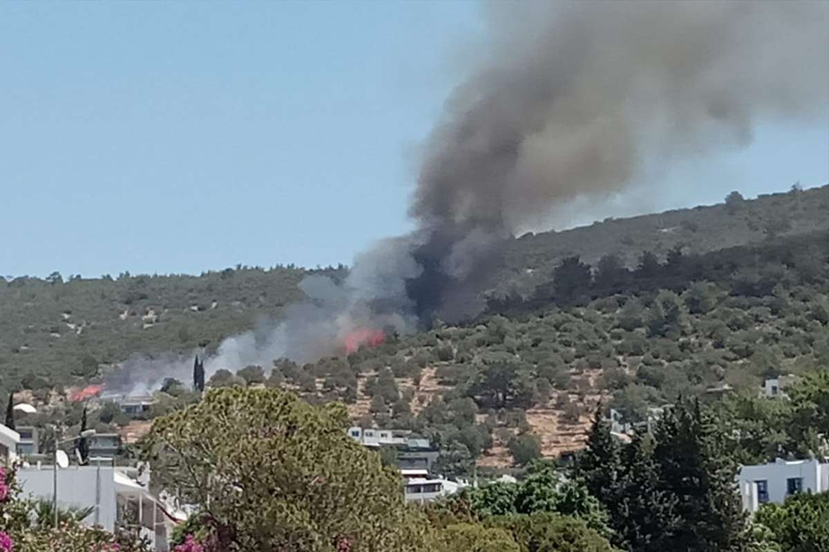 Bodrum'da yangın