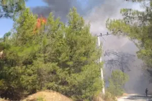 Bodrum’daki yangına havadan ve karadan müdahale ediliyor