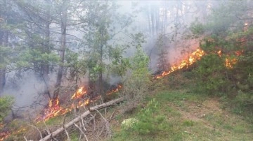 Bolu'da çıkan orman yangını kontrol altına alındı