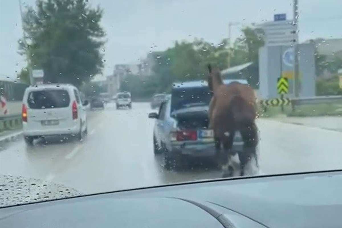 Bursa'da aracın arkasına at bağlayıp çevre yolunda koşturdu