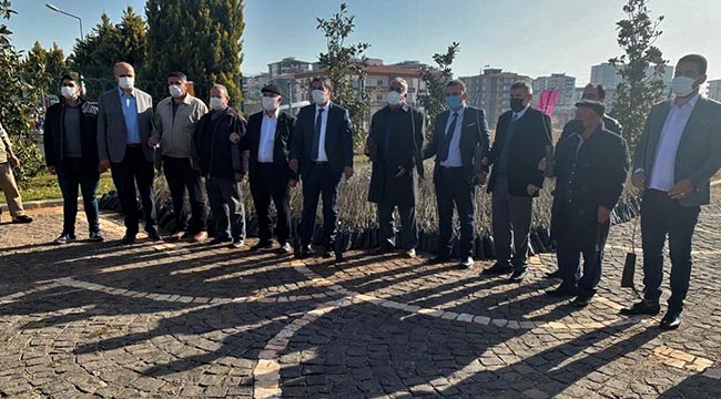 Büyükşehir’den alıç üretiminin arttırılmasına destek