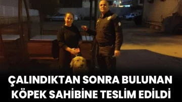 Çalındıktan sonra bulunan köpek sahibine teslim edildi