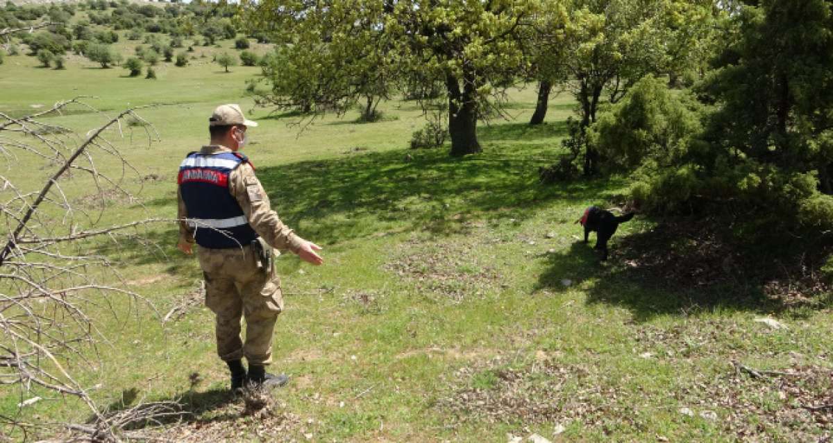 Çanakkale'de kayıp zihinsel engelli kadın 24 saattir aranıyor