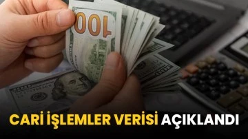 Cari işlemler verisi açıklandı