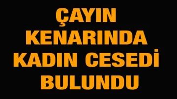 Çayın kenarında kadın cesedi bulundu