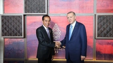 Cumhurbaşkanı Erdoğan, Endonezya Devlet Başkanı Widodo ile bir araya geldi