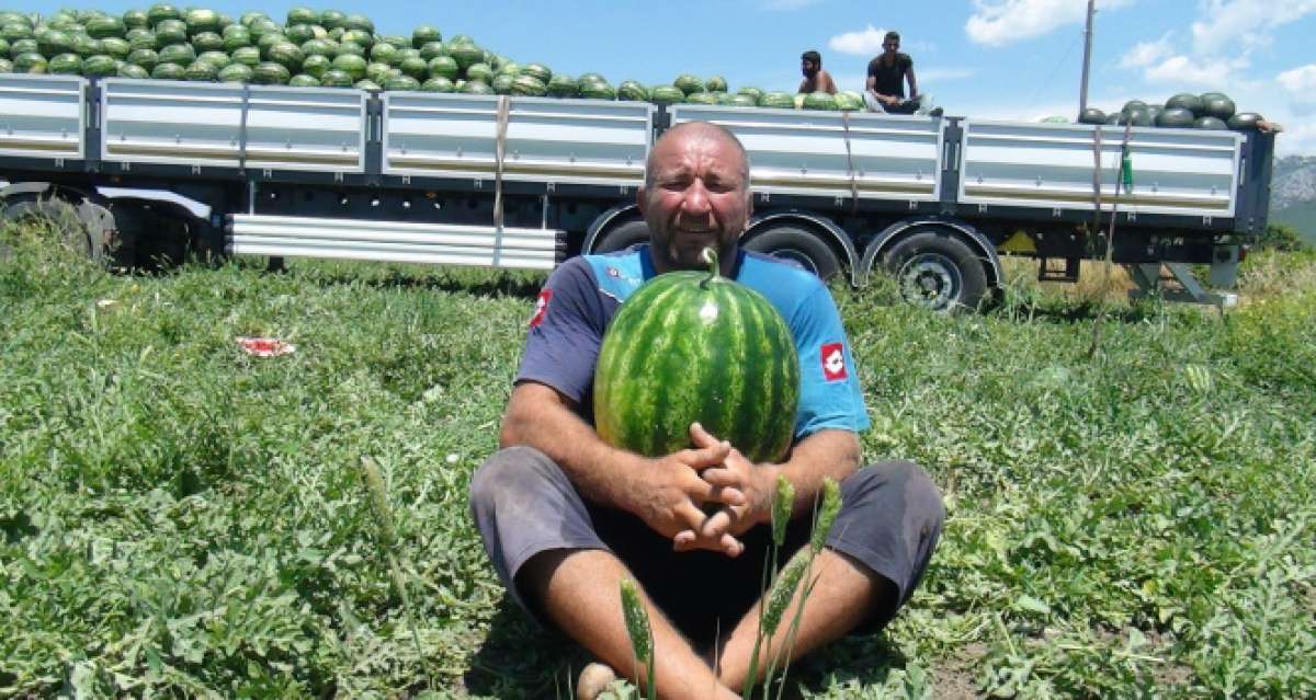 Dev karpuzlarla idman yapıp dünya şampiyonasına hazırlanıyor