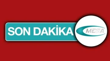 Devrilen kamyonetin sürücüsü öldü