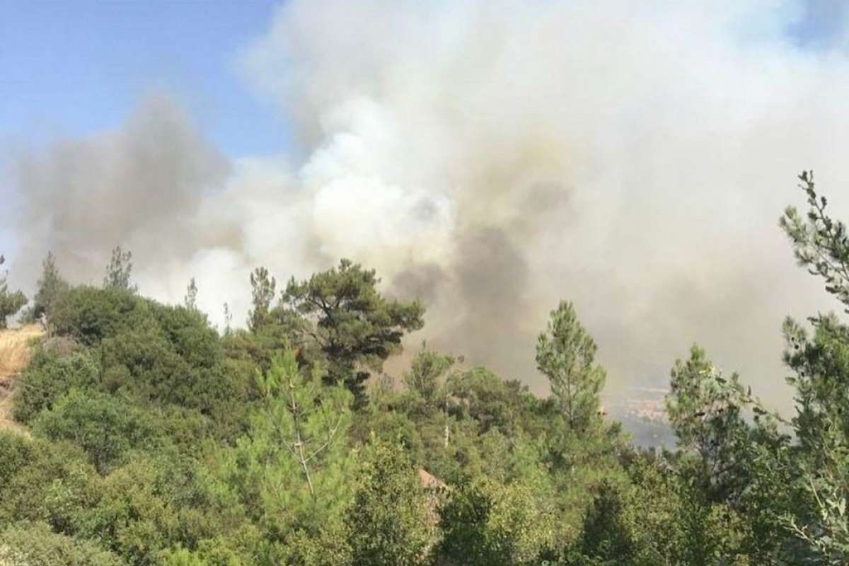 Dursunbey'deki orman yangını kontrol altına alındı