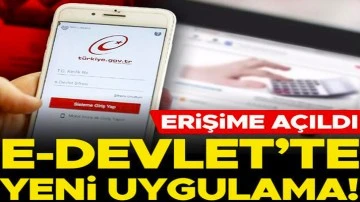  E-Devlet'te yeni uygulama: Kaza tespit tutanakları erişime açıldı