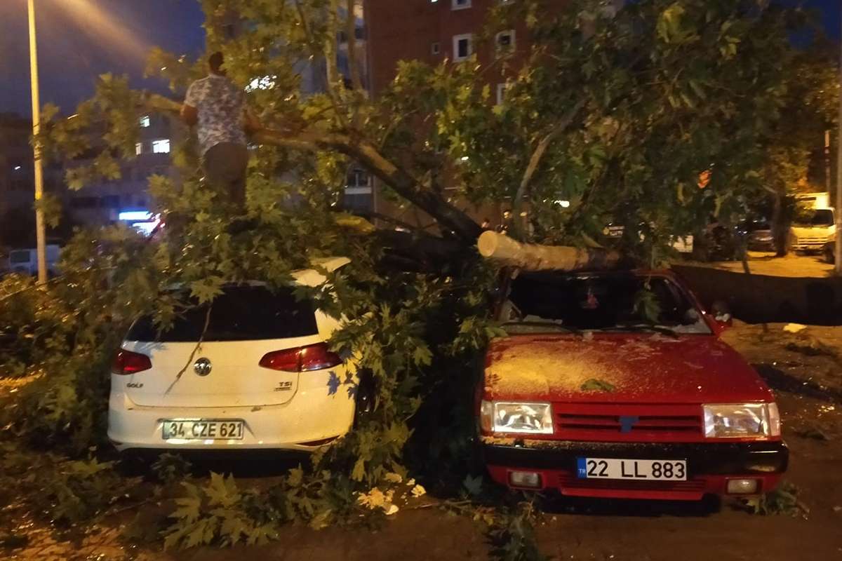 Edirne'de fırtına ağaçları araçların üzerine devirdi