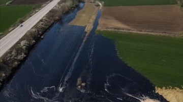 Edirne'de şantiye havuzundan sızan asfalt tarım alanına yayıldı