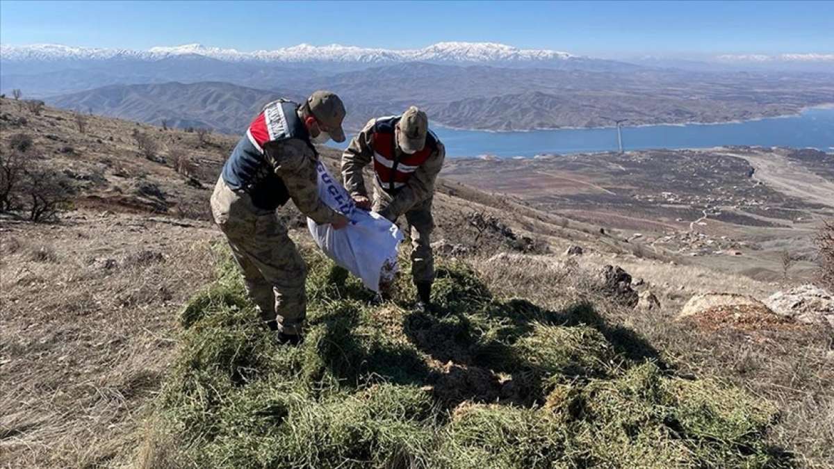 Elazığ'da jandarma yaban hayatı için doğaya yem bıraktı