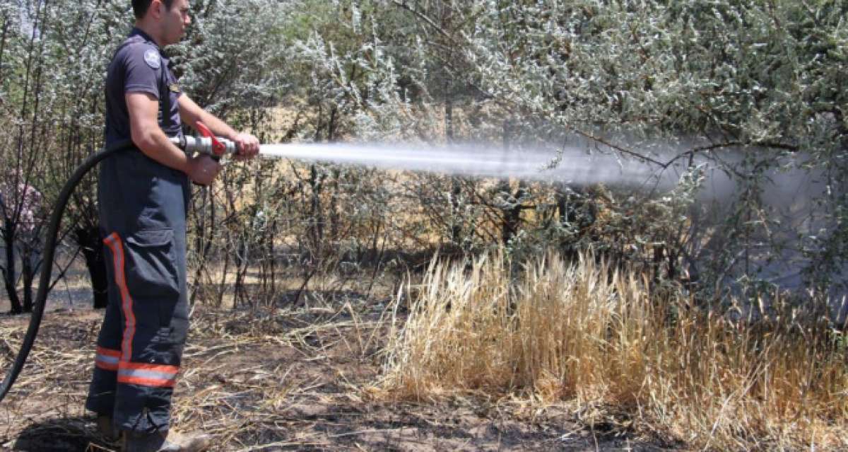 Elazığ'da yangın: 12 dönüm ekili alan kül oldu