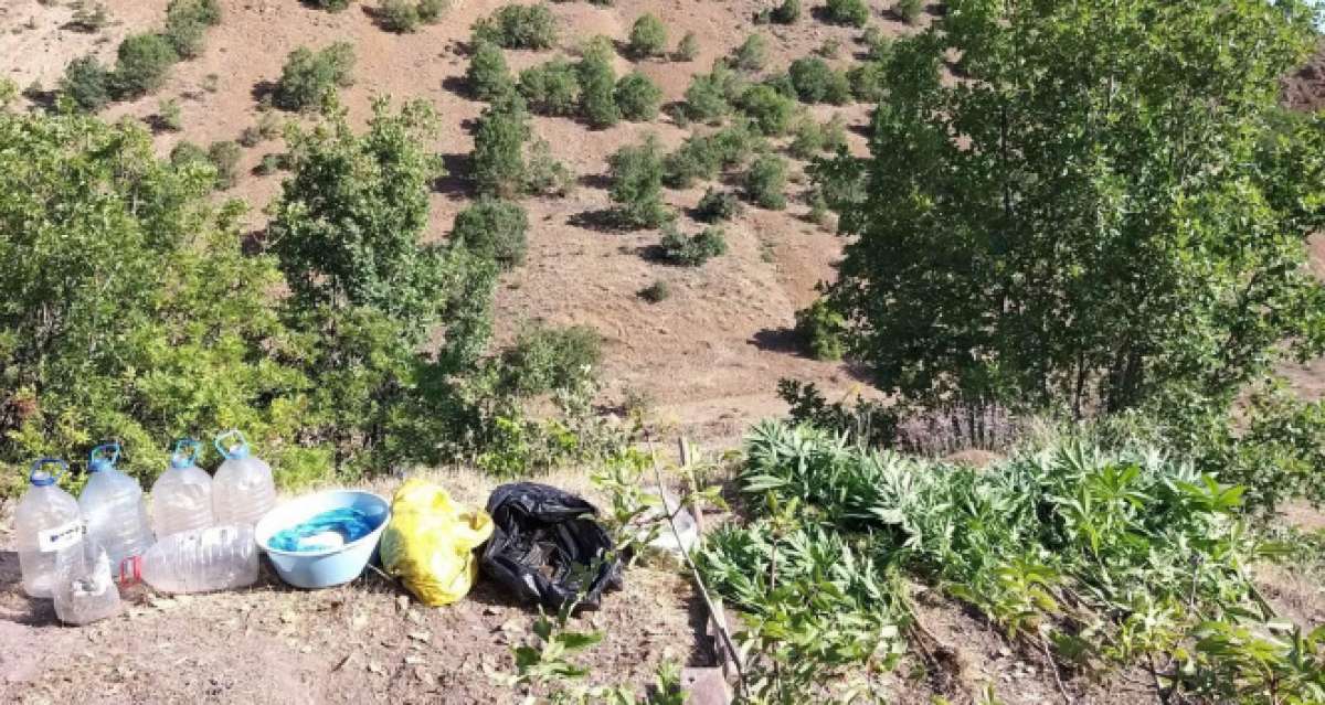 Elazığ'da zehir tacirlerine operasyon, 17 kilo esrar ele geçirildi