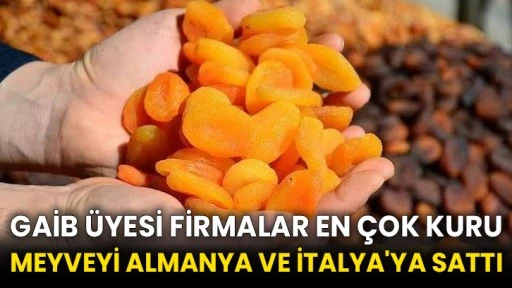 GAİB üyesi firmalar en çok kuru meyveyi Almanya ve İtalya'ya sattı