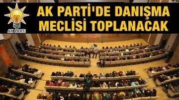 Ak Parti'de danışma meclisi toplanacak