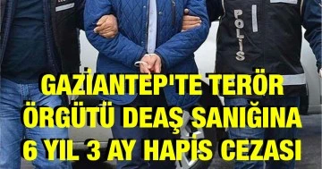 Gaziantep'te terör örgütü DEAŞ sanığına 6 yıl 3 ay hapis cezası