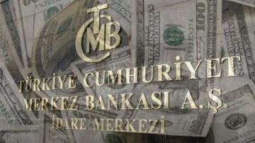 Merkez Bankası yıl sonu enflasyon ve dolar tahminini açıkladı