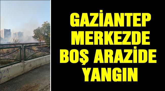 Gaziantep merkezde boş arazide yangın