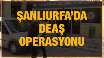 Şanlıurfa’da DEAŞ operasyonu