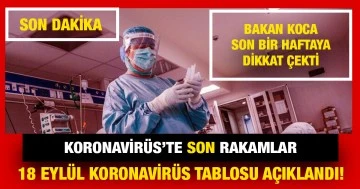 Son dakika: 18 Eylül koronavirüs tablosu açıklandı!