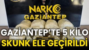 Gaziantep’te 5 kilo skunk ele geçirildi