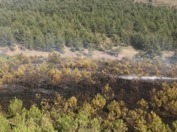 Gaziantep'te Çıkan Yangın Söndürüldü...