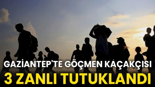 Gaziantep'te göçmen kaçakçısı 3 zanlı tutuklandı