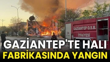 Gaziantep'te halı fabrikasında yangın