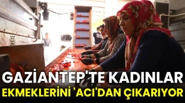 Gaziantep'te kadınlar ekmeklerini 'acı'dan çıkarıyor