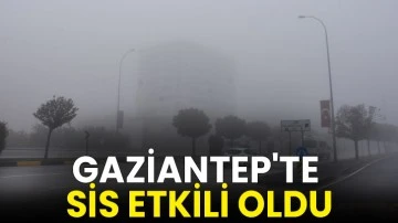 Gaziantep'te sis etkili oldu