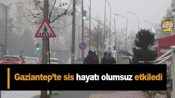 Gaziantep’te sis hayatı olumsuz etkiledi