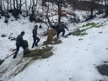 Gaziantep'te Toros Dağları Devlet Avlağına yem bırakıldı