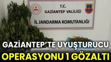 Gaziantep’te uyuşturucu operasyonu 1 gözaltı