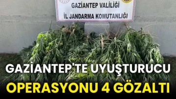 Gaziantep'te uyuşturucu operasyonu 4 gözaltı