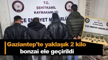 Gaziantep'te yaklaşık 2 kilo bonzai ele geçirildi