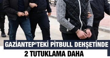 Gaziantep'teki pitbull dehşetinde 2 tutuklama daha