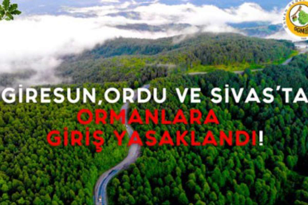 Giresun, Ordu ve Sivas illerinde ormana girmek yasaklandı