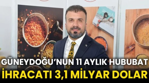 Güneydoğu’nun 11 aylık hububat ihracatı 3,1 milyar dolar