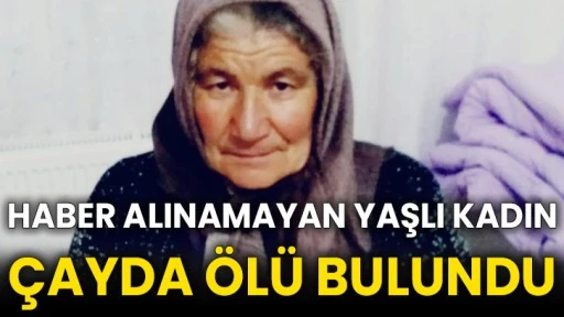 Haber alınamayan yaşlı kadın çayda ölü bulundu