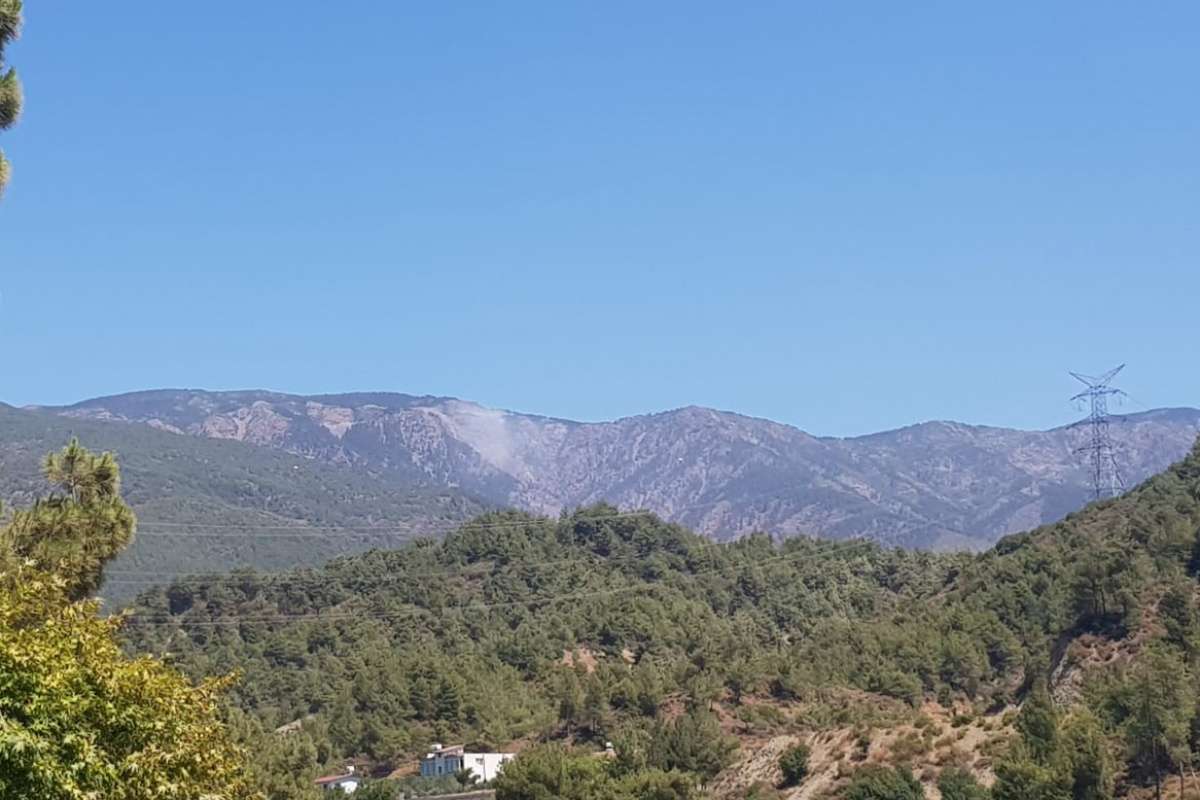 Hatay Kisecik yangını kontrol altına alındı