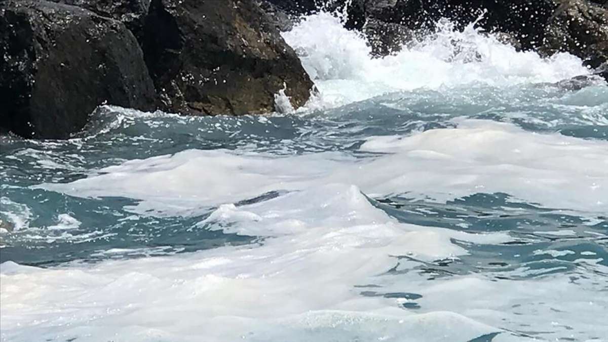 Hatay sahil şeridinde görülen sıvının ilk belirlemelere göre müsilaj olmadığı bildirildi