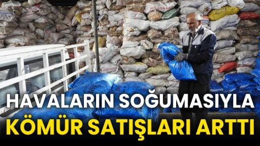 Havaların soğumasıyla kömür satışları arttı