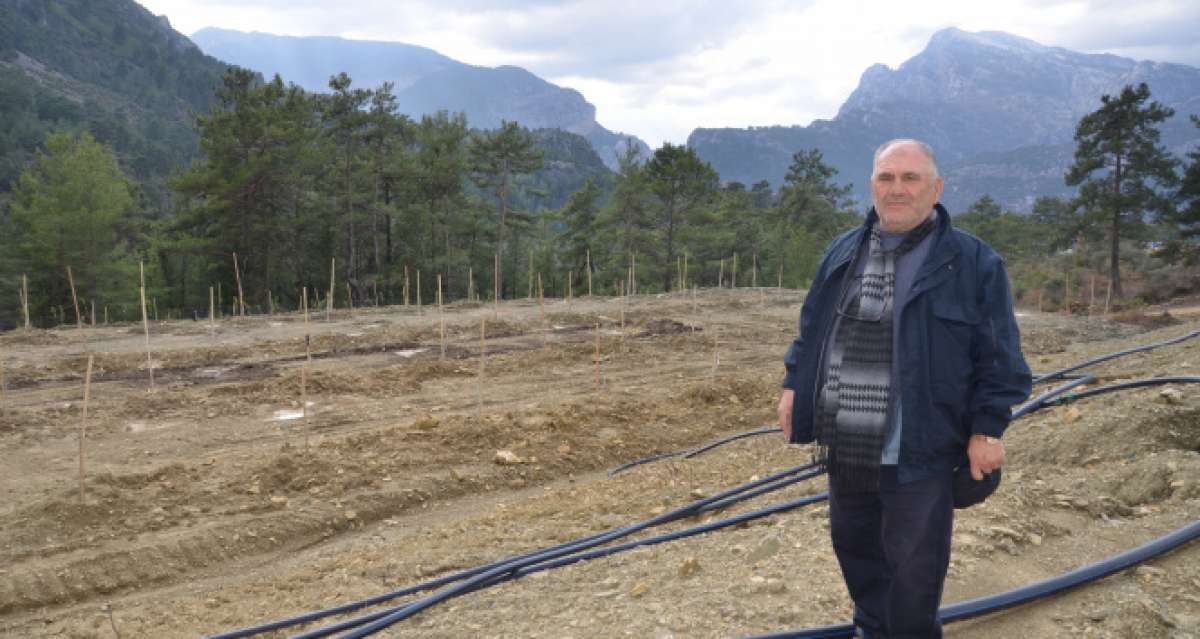 Herkes köyden kente giderken o Almanya'dan köyüne döndü